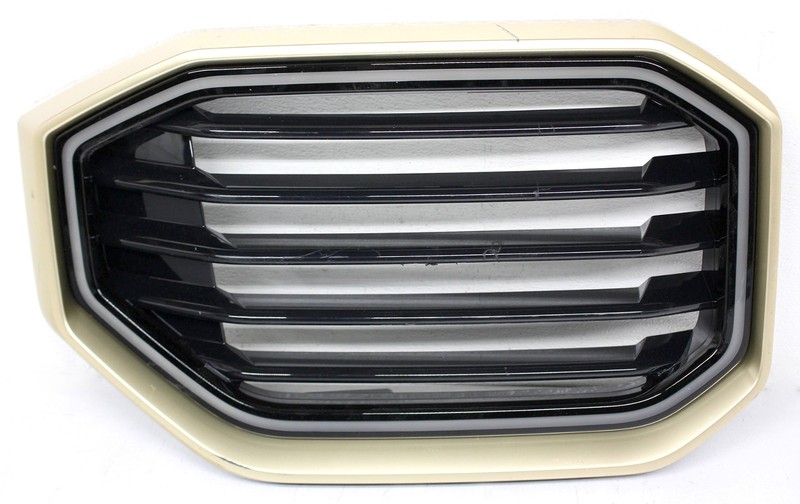 OEM Right Passenger Side Upper Grille For BMW XM 51-13-5-A59-1C8