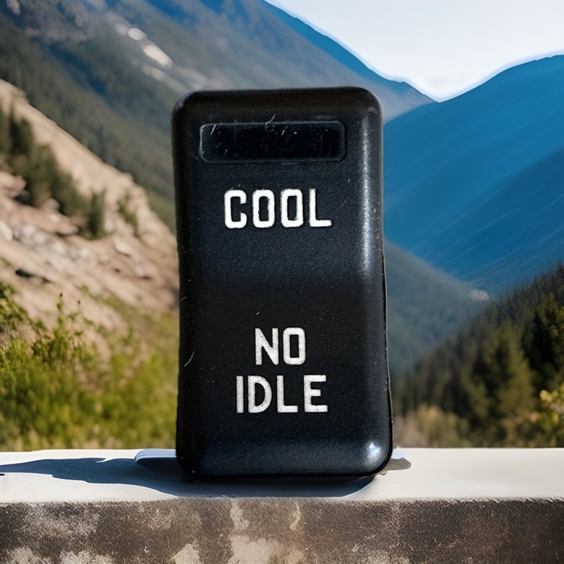 ✅ 2019 INTERNATIONAL LT625 SEMI TRUCK COOL NO-IDLE ROCKER SWITCH, P# 3672799C1 ✅