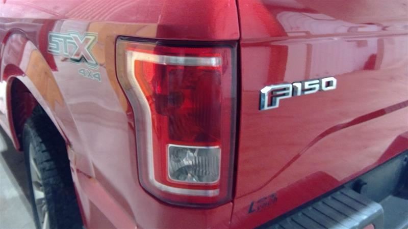 Driver Tail Light Styleside Incandescent Fits 15-17 FORD F150 PICKUP 3127679