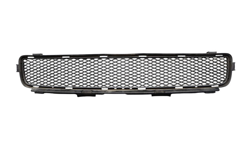 06-07 Lexus GS430 GS350 Lower Grille Trim Panel Assembly Mesh 53112-30230 Oem