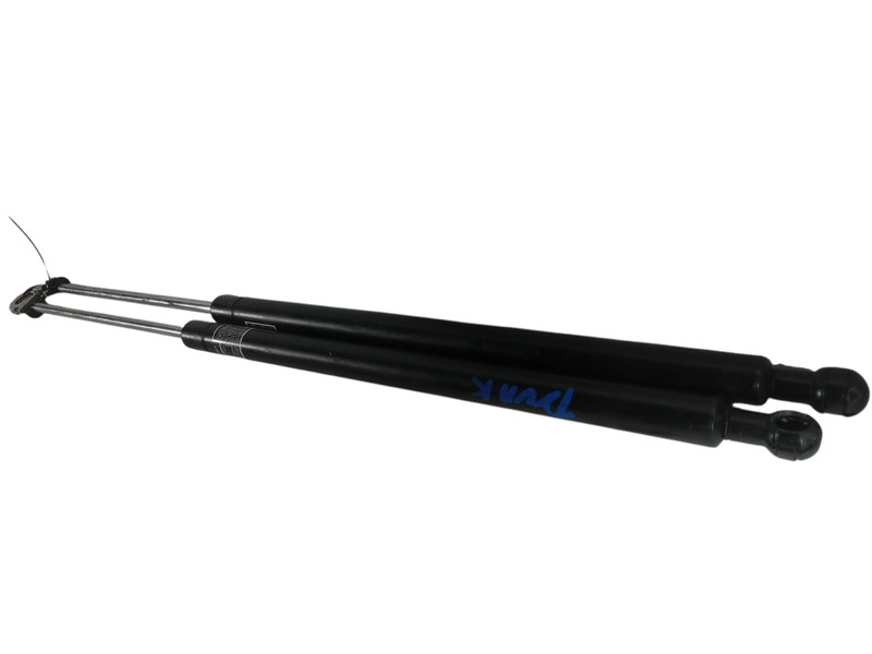 2007-2008 Lexus IS250 Left Right Rear Trunk Lid Lift Support Strut OEM 14188