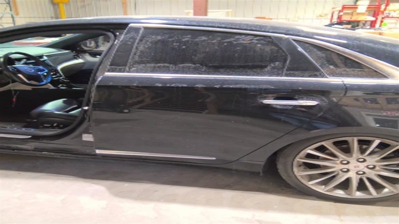 Driver Left Rear Side Door Fits 13-19 XTS 3398774