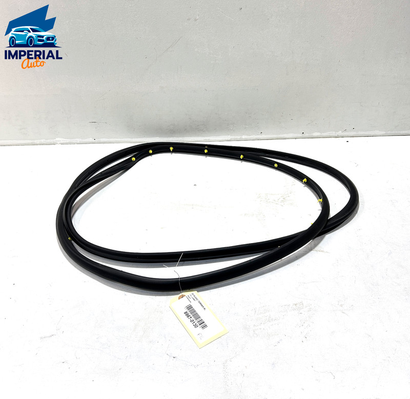 Front Left Driver Side Door Wheatherstrip Seal GMC Terrain 2018-2023 OEM