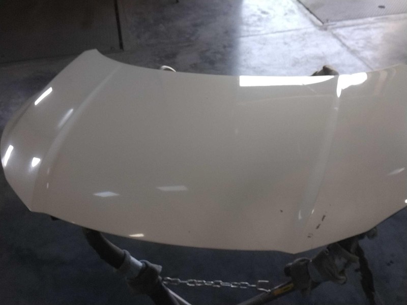 2016 Honda HR-V White Hood Panel OEM Used with Small Scratches 4DR SUV
