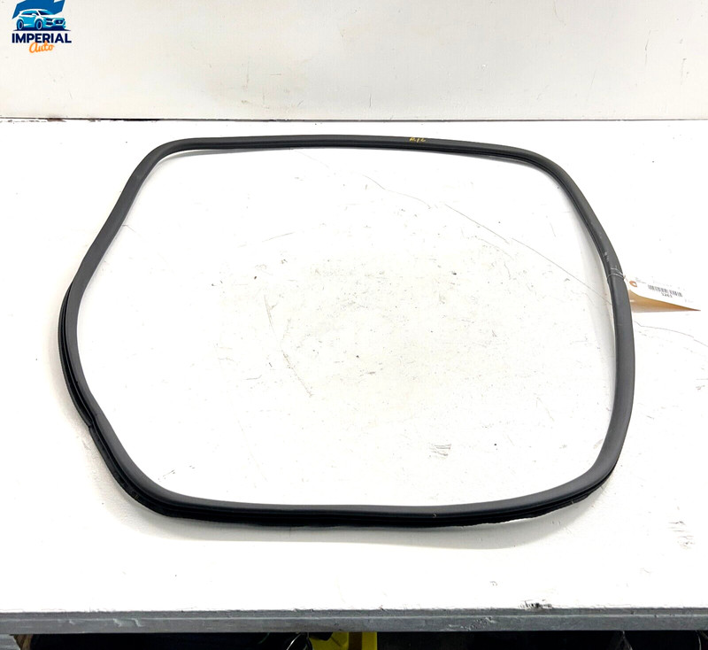 2011-2017 PORSCHE CAYENNE REAR LEFT SIDE DOOR BODY WEATHERSTRIP SEAL GASKET OEM