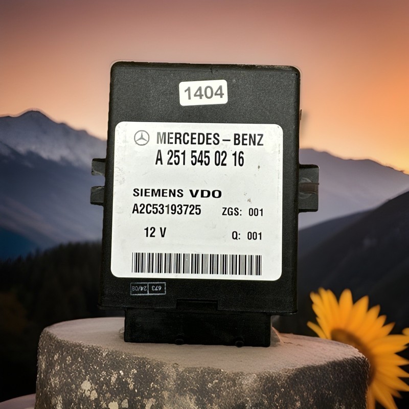 ✅ 06-13 Mercedes W251 R350 E550 Rear Air Suspension Control Module 2515450216 ✅
