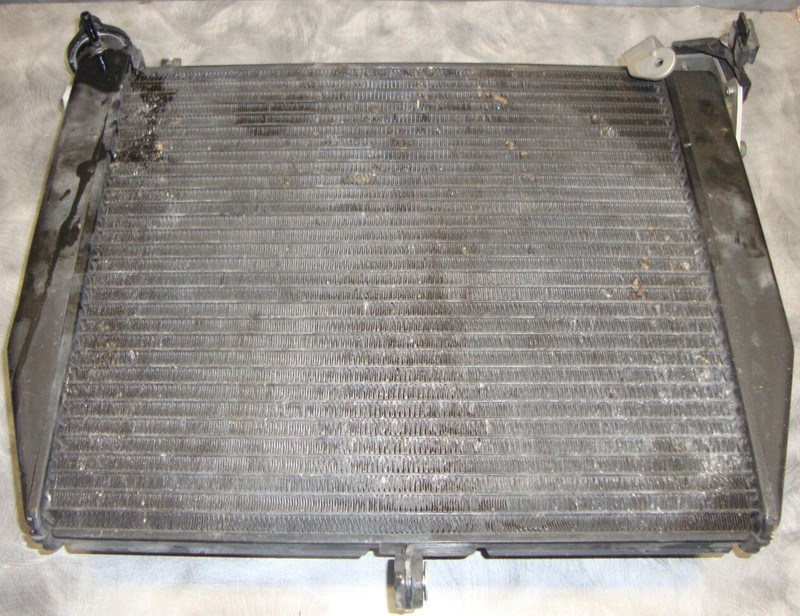 2002 Yamaha YZFR1 YZFR 1YZF R1 1000 R1000 Radiator Radiater Cooling Coolant L10