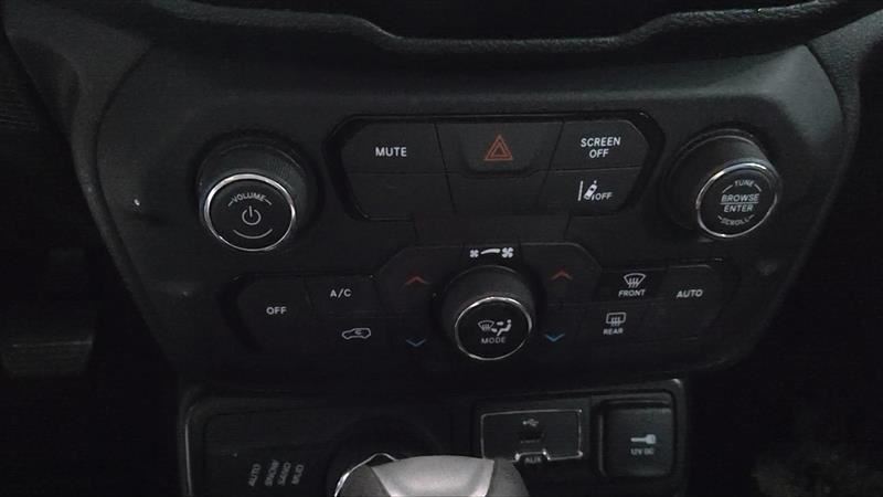 RENEGADE2021 Temperature Control 3309881
