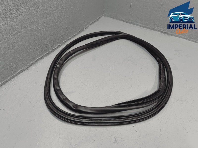 2018-2024 TOYOTA CAMRY REAR PASSENGER DOOR ON BODY WEATHERSTRIP INNER SEAL OEM