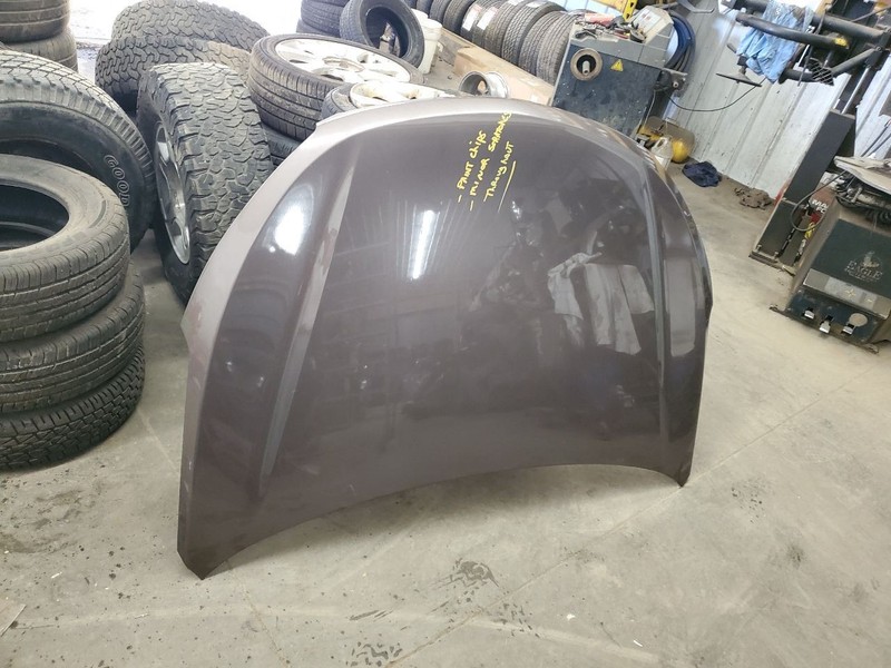 Hood Korea Built Fits 13-19 SANTA FE 302535