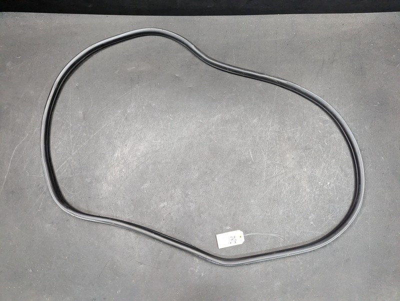 Rear Left Door Body Weatherstrip 2018 BMW X1 51727440034 2016 2017 2019 - 2021