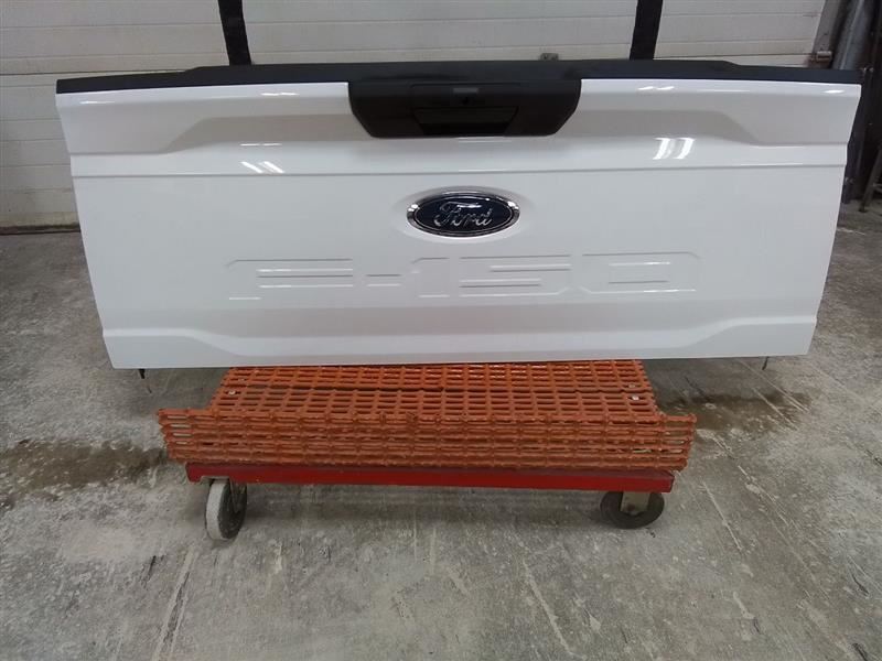 F1502022 Trunk/Hatch/Tailgate 3125560