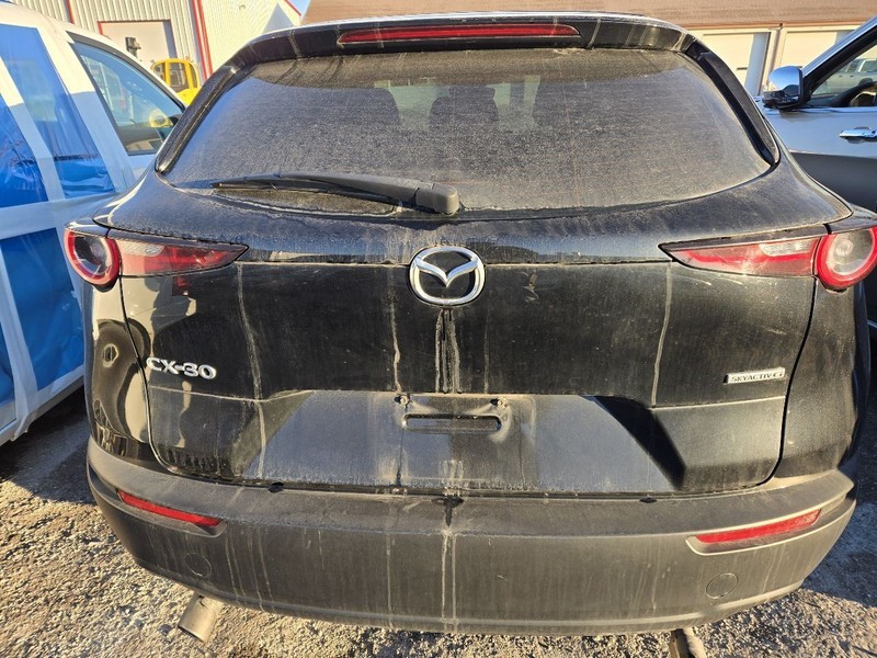 Trunk/Hatch/Tailgate Green Tint Glass Fits 20-23 MAZDA CX-30 3652867