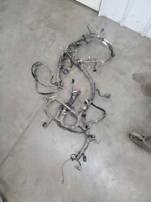 F250SD2009 Engine Wire Harness 300648