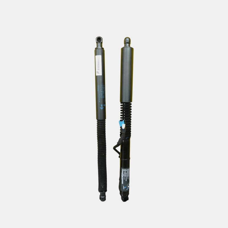 2018-2024 BMW X3 G01 LEFT RIGHT REAR TRUNK SUPPORT SHOCK STRUTS PAIR SET 2 OEM