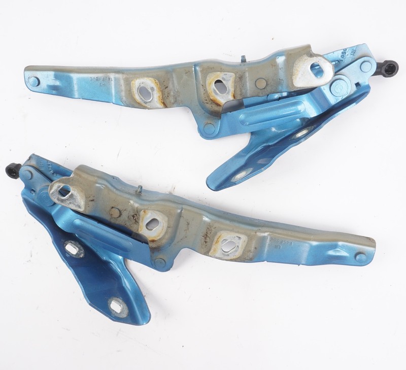2016 - 2019 Buick Cascada Front Left & Right Hood Hinge Strut Set OEM