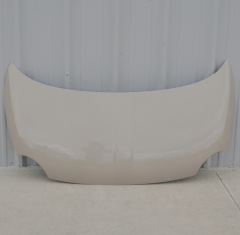 2012 - 2019 Fiat 500 HoodOEM **LOCAL PICKUP ONLY**
