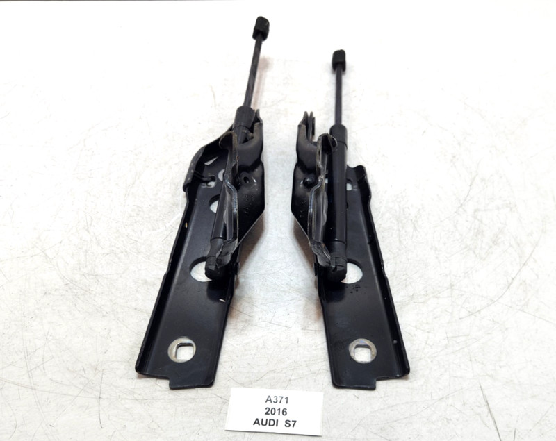 ✅ 12-18 OEM Audi S7 A6 A7 S6 RS7 Front Left Right Hood Hinge Black W/ Strut SET
