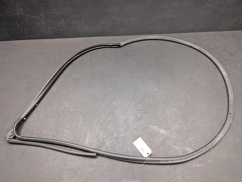 Rear Right Door Weatherstrip 2021 Ford Ecosport DN1Z-74253A10-A 2018-2022 2023