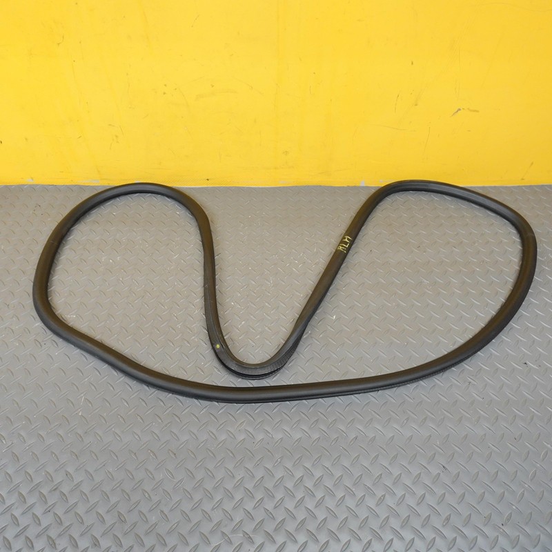 2017-2023 CHEVROLET BOLT EV REAR LEFT SIDE DOOR BODY WEATHERSTRIP SEAL 42588070