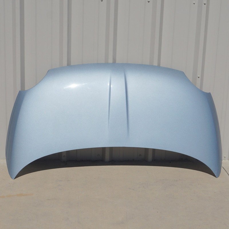 2012 - 2019 FIAT 500 HOOD PANEL2 DOOR OEM NO SHIPPING LOCAL PICKUP ONLY