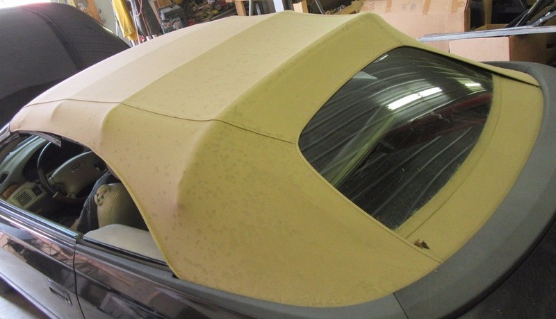 CONVERTIBLE TOP BACK GLASS WINDOW REAR FRAME TAN BEIGE CAMEL CAR 00-03 SOLARA