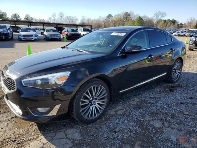 Driver Left Rear Side Door Fits 14-16 CADENZA 565261