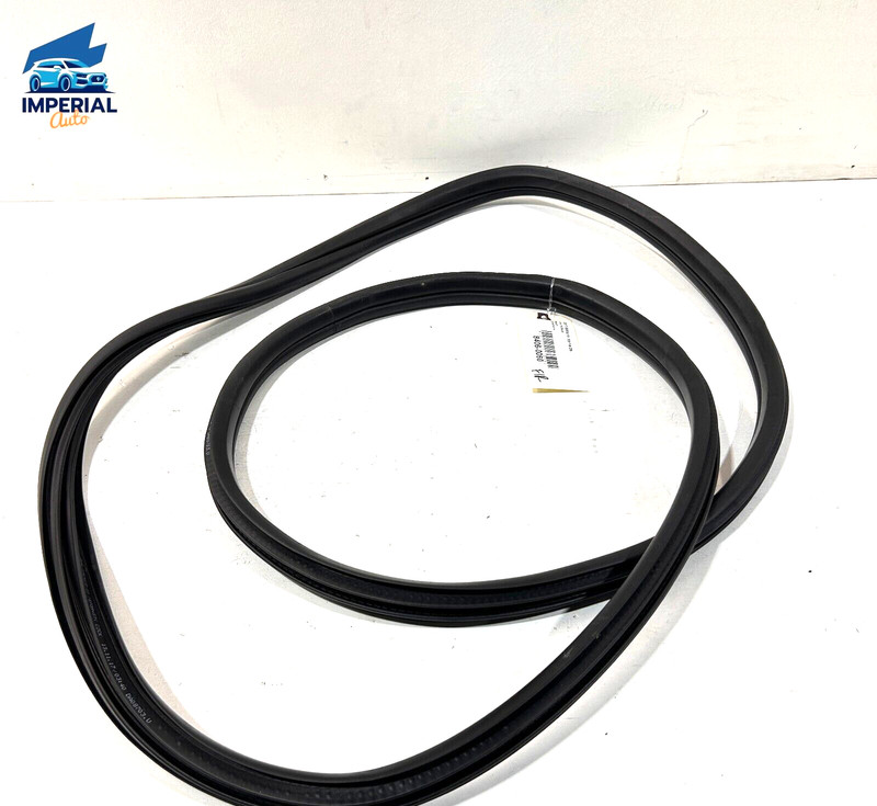 BMW X1 XDRIVE28I 2016-22 FRONT RIGHT PASSENGER DOOR SHELL WEATHERSTRIP SEAL OEM