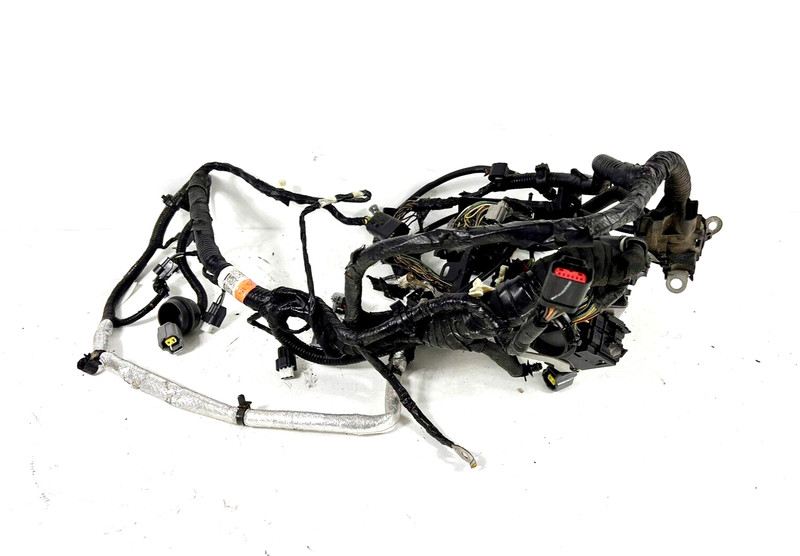 2019 Ford Ecosport 4WD Engine Wire Wiring Harness OEM GN15-12C508-CF