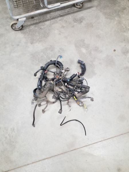TRACKER 2001 Engine Wire Harness 240084
