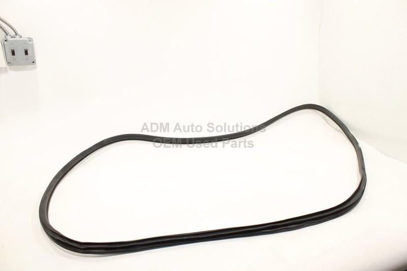 2019-2025 RAM 1500 5th Gen Crew Cab Front Right Door Weatherstrip on Body OEM