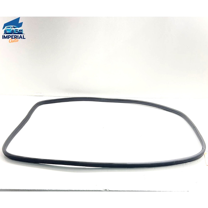16-21 Honda Pilot Passport Rear Left Driver Door on Body Wheatherstrip Seal OEM