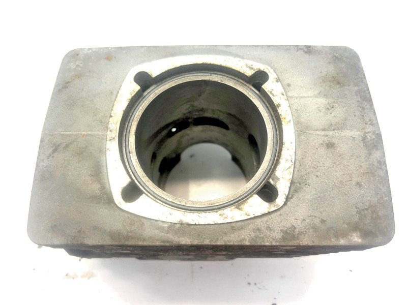 Skidoo REV Expedition 550 Cylinder Jug Barrel 420923978 420923974