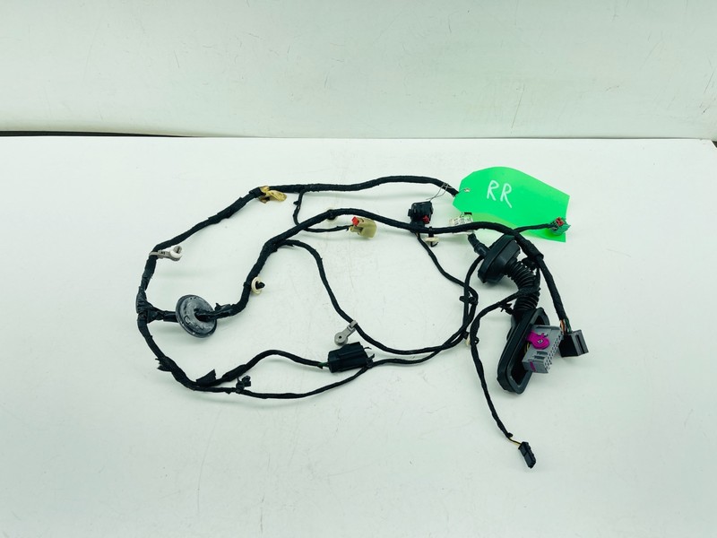 2018-2020 BUICK REGAL REAR RIGHT PASSENGER SIDE DOOR WIRE WIRING HARNESS OEM