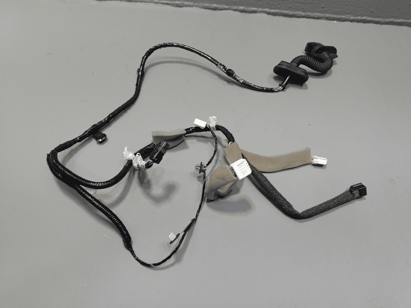 2021-2025 Nissan Rogue Rear Left Driver Door Wire Harness OEM