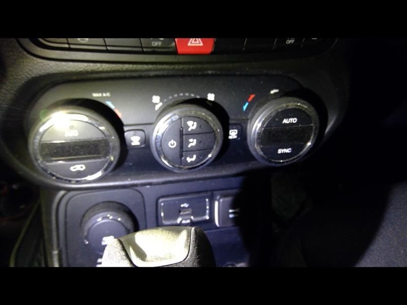 Temperature Control Panel With AC Fits 15-17 RENEGADE 1138102