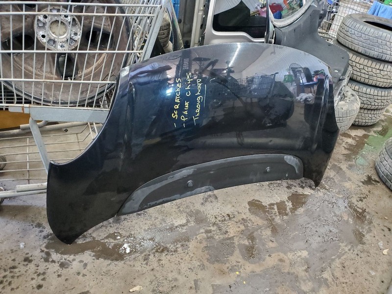 Hood L Model Fits 14-20 FIAT 500 299689