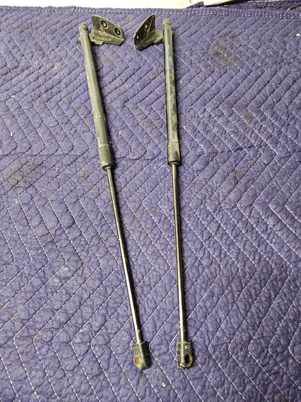 2017 FORD FOCUS HATCHBACK REAR HATCH LIFT SUPPORT SHOCKS STRUT PAIR OEM