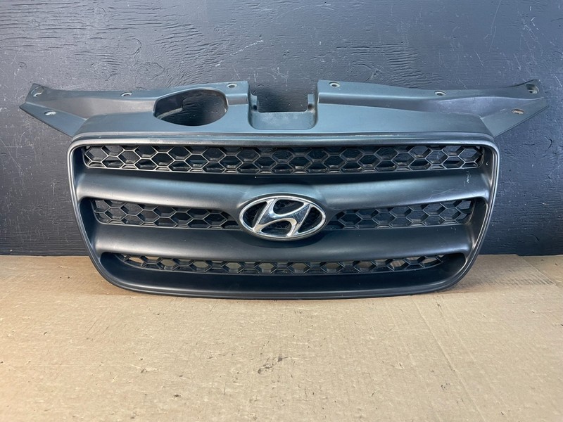2007 to 2009 Hyundai Santa Fe Front Upper Grill Grille OEM AD5513 DG