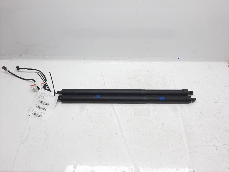 Jaguar F-Pace Trunk Struts Shock Left Right Pair Lift HK8370354AA