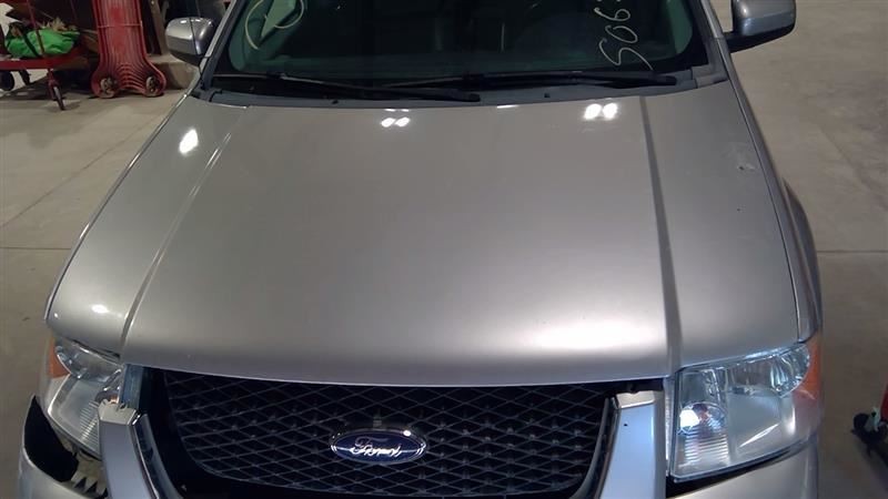 Hood Fits 05-07 FREESTYLE 3033401