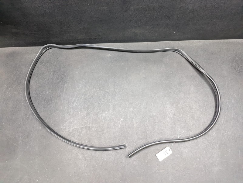 Rear Left Door Body Weatherstrip 2021 Nissan Kicks 76924-5RB0A 2018 - 2022