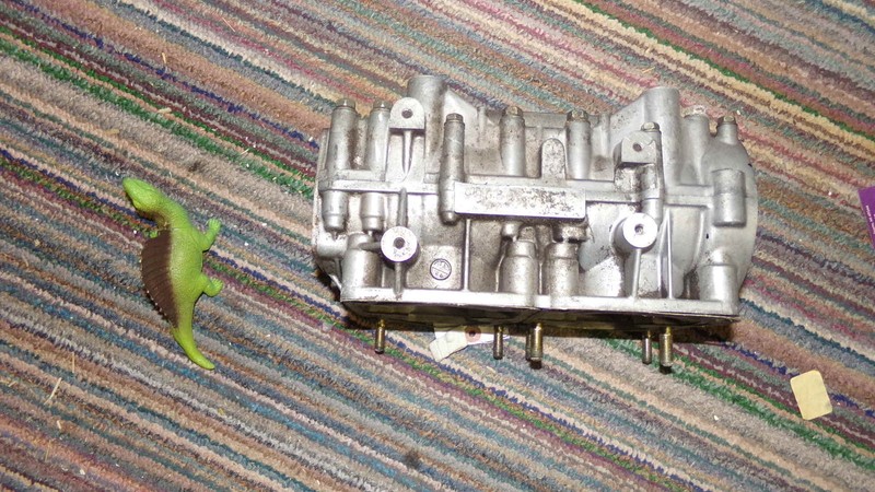 91 EXT 530 Eltigre, B53-202986, Crank Case,Free Shipping