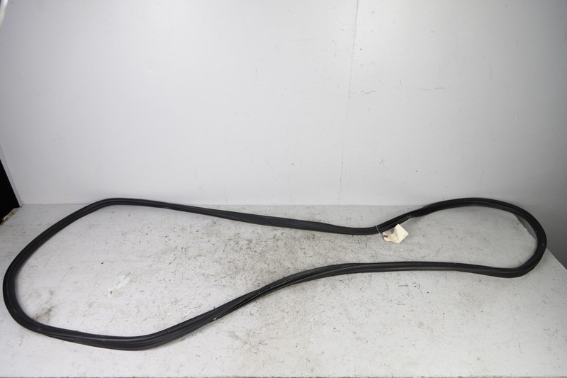 2011-18 PORSCHE CAYENNE TAILGATE LIFTGATE BACK DOOR WEATHERSTRIP SEAL GASKET OEM