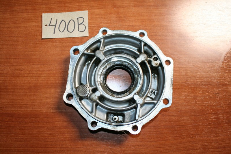 2003 Honda TRX 250TM Differential Housing Side Cover OEM 03 D