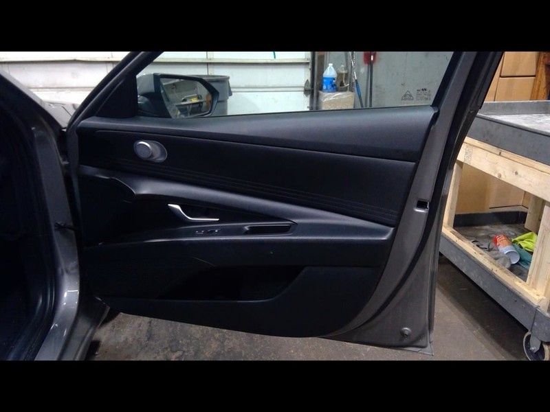 2021 ELANTRA Passenger Right Front Door Trim Panel 1609032