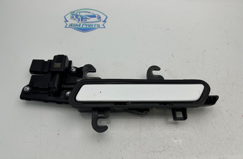 2022-2024 HYUNDAI IONIQ 5 REAR LEFT EXTERIOR DOOR HANDLE WHITE OEM 826F0-G1000