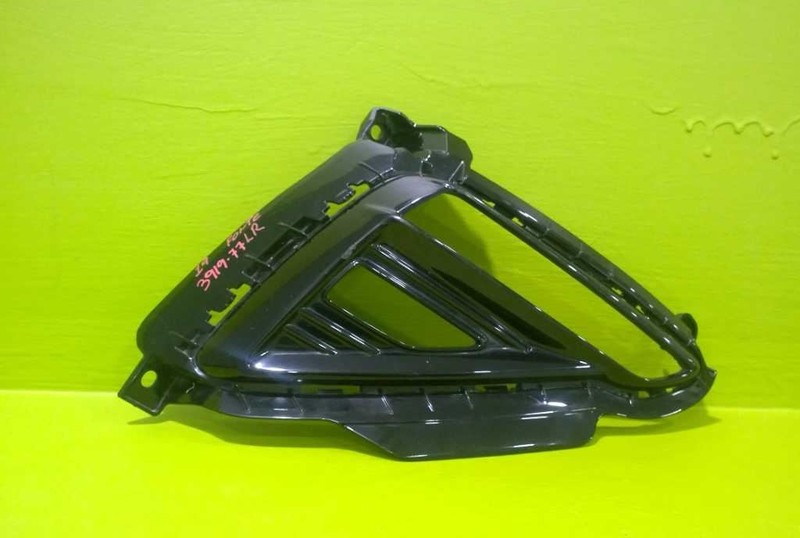 19 20 21 FORTE DRIVER LEFT REAR FOG LIGHT BEZEL OEM 3919-77