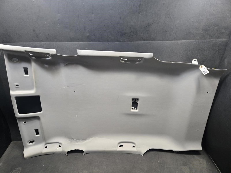 Interior Roof Headliner 2021 Toyota RAV4 63310-0R909-B0 2019 2020 2022 X
