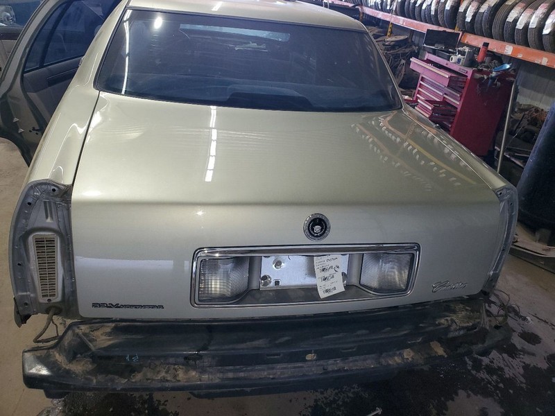 Trunk/Hatch/Tailgate Fits 95-99 DEVILLE 297835